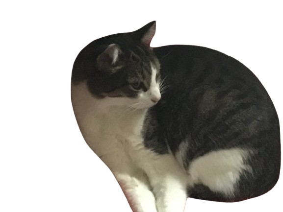Clickable